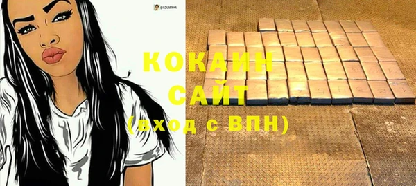 дживик Богданович
