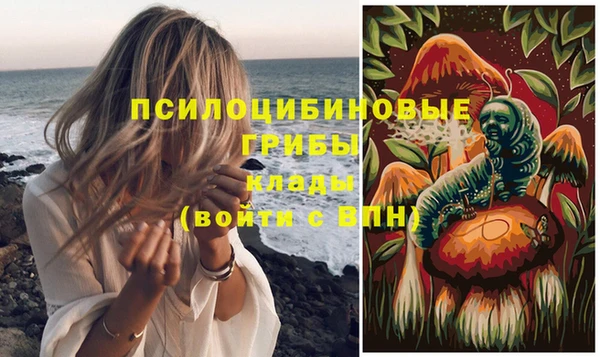 дживик Богданович