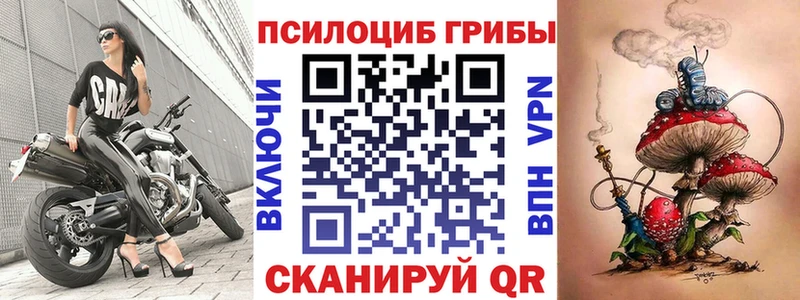 где можно купить   Дегтярск  Псилоцибиновые грибы Psilocybe 